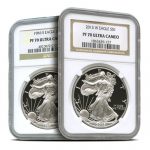 1 oz Proof American Silver Eagle PR/PF70 (Random Year, Varied Label, PCGS or NGC)