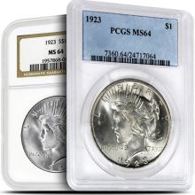 Peace Silver Dollar Coin MS64 (1922-26, 1934-35, PCGS or NGC)